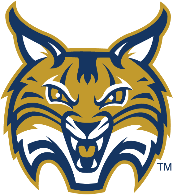 Quinnipiac Bobcats 2002-Pres Secondary Logo v2 diy fabric transfer